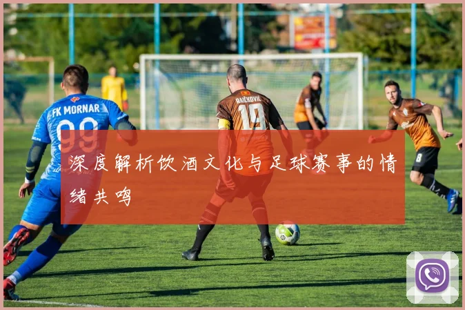 深度解析饮酒文化与足球赛事的情绪共鸣