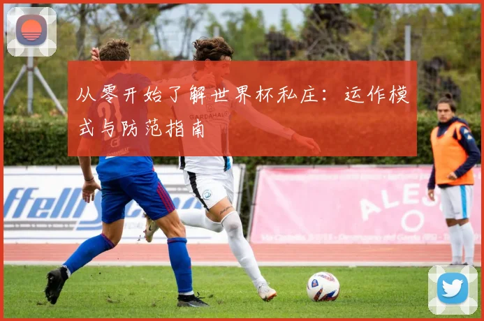从零开始了解世界杯私庄：运作模式与防范指南