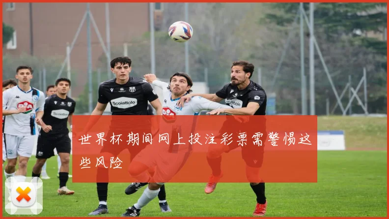 世界杯期间网上投注彩票需警惕这些风险
